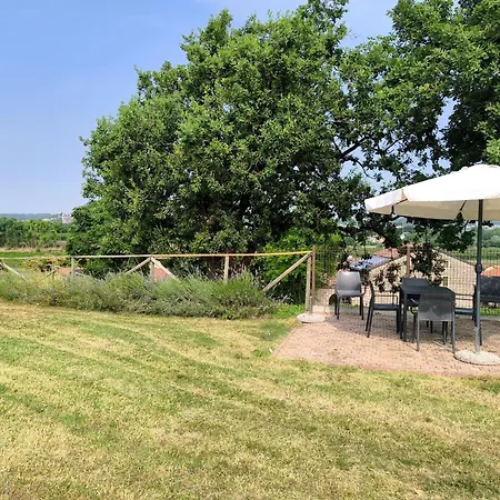 Seiterre Tenuta San Leone Bauernhof