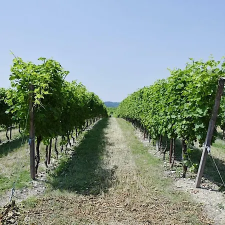 Farm stay Agriturismo Tenuta San Leone *