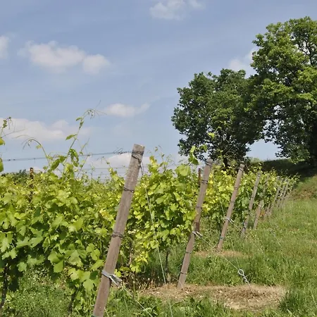 Agriturismo Tenuta San Leone